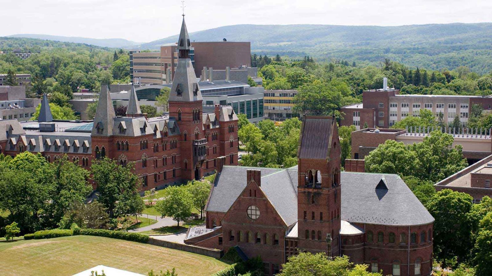 Get to Know the Cornell Johnson MBA Program: A Total Guide