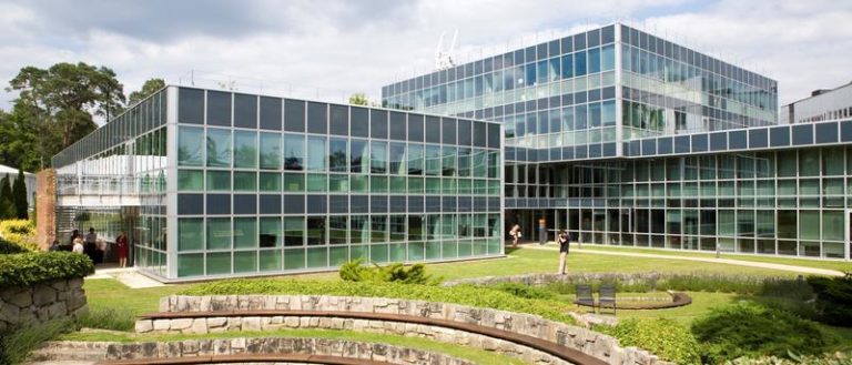 Insead job essays image